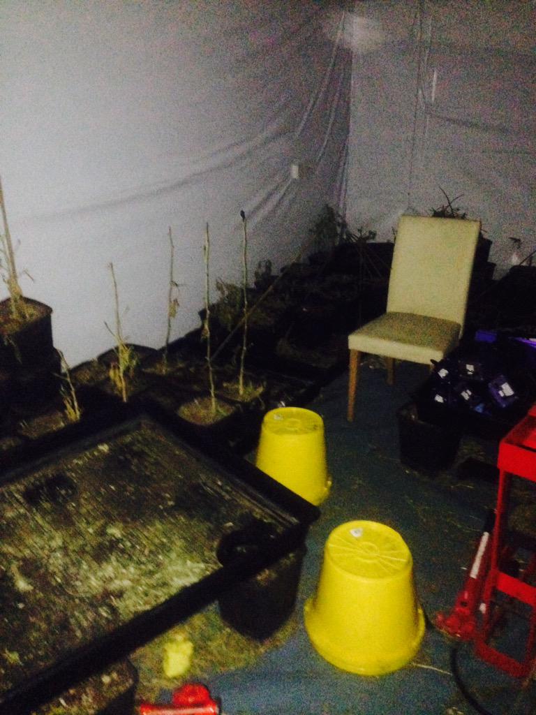 MPSBoroughBank's tweet photo. Up early this morning helping #Grange Ward with warrant on a cannabis factory in #Alscot Way #se1 http://t.co/xmlvlbIdmV