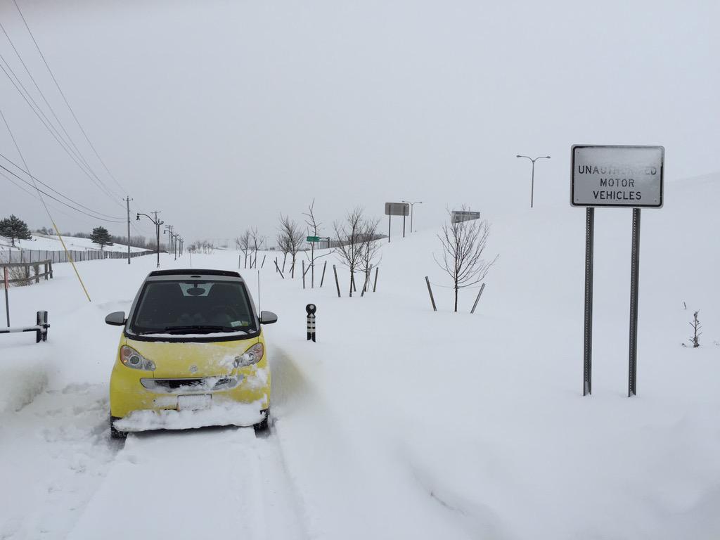 SmartCars1bflo's tweet photo. Some say #jeepjeep I say smartsmart #smartsUSA #SmartSmart101 http://t.co/03hxKJZYcy