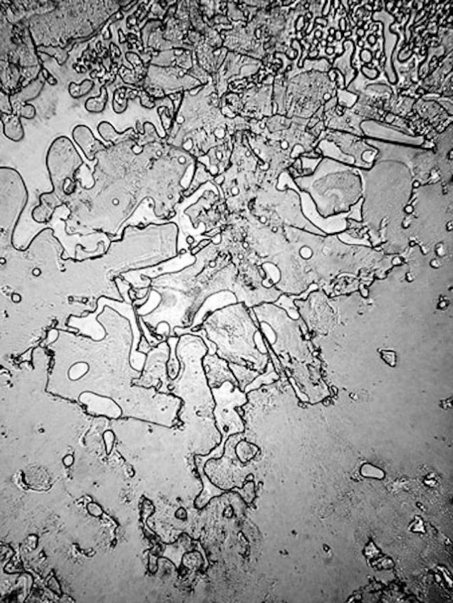 UniversidadMH's tweet photo. ¿Sabias que las lágrimas de #alegría y tristeza no son iguales al microscopio? Feliz #viernes! http://t.co/z7snXbnJ3n http://t.co/qAfHht2DTP
