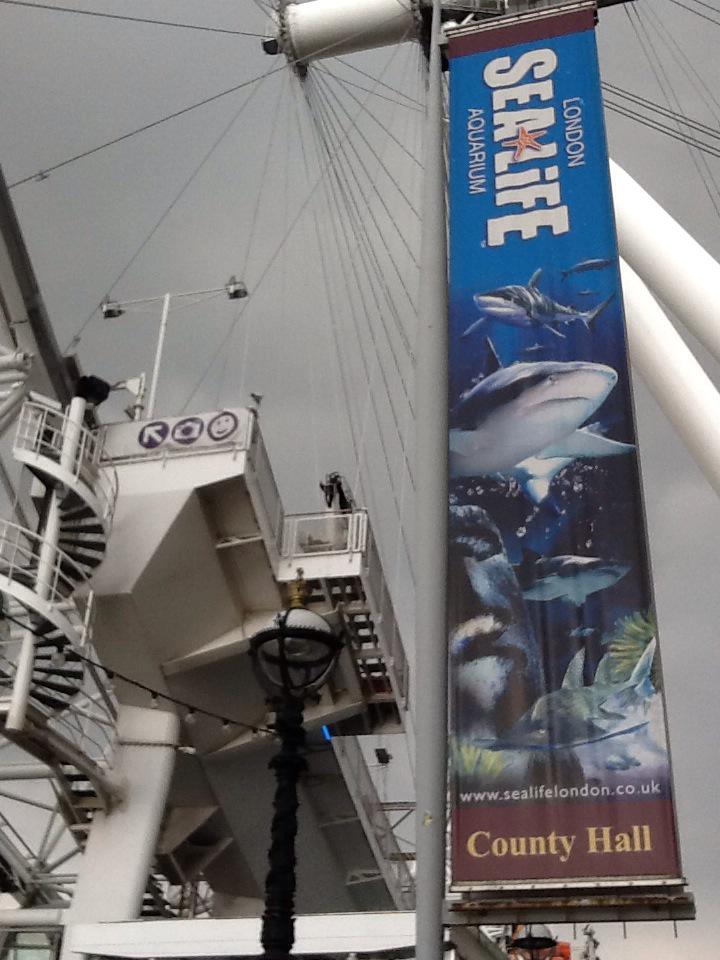Despite the gloomy weather Oak are bursting with excitement to be visiting SeaLife! <a href="/foxfield/">FoxfieldPrimary</a>
