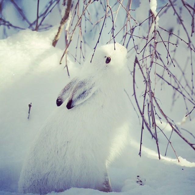 FindTransfers's tweet image. So who is spending Easter in the mountains?