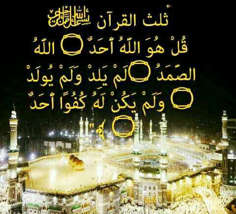 minhoch76's tweet photo. @sallykadhim221 مساء الخير http://t.co/5ogWHZWDSW