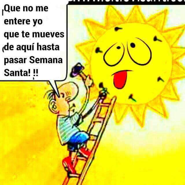 Maria Jose Rodriguez tweet media