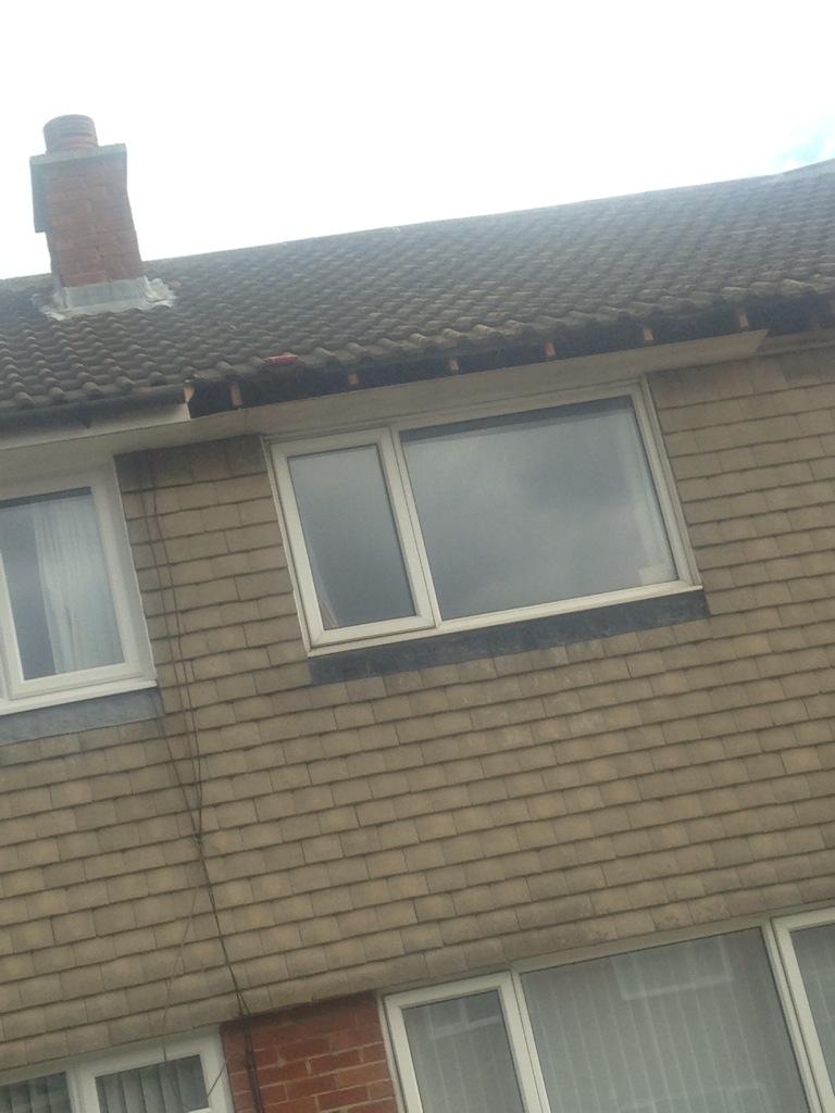 #fascia job in progress along with #soffits #guttering using materials from <a href="/eurocellplc/">eurocell plc</a>