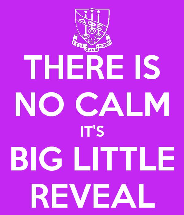 Today is the day!! I hope you're just as excited as I am!! 😁💜💛 <a href="/RachelWalkah/">Rachel McGee</a> #biglittlereveal #DPhiE
