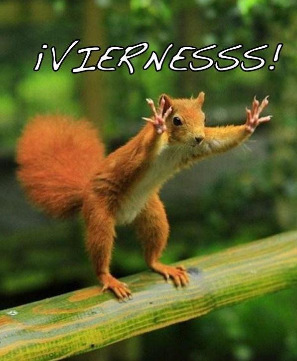ElRINCONDEMENA's tweet photo. Ya es viernesssssss!!! http://t.co/1nO1piG0UN