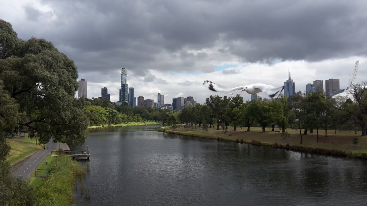 ValeFogazzi's tweet photo. #melbourne #alwaysgrey #cloudymorning #yarrariver @Australia http://t.co/N1zfGVW6un