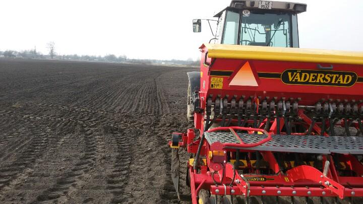 Zaļināšana #beans #harvest15