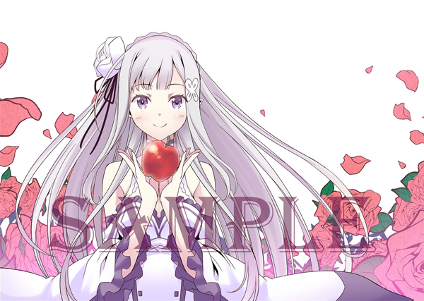 リゼロ エミリアの誕生日生活2019ver. ラム レム ブックカバー レア