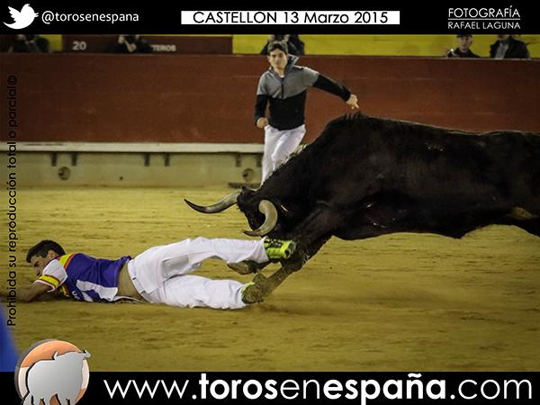 torosenespana's tweet photo. Galería completa del encuentro Hispano-Francés en Castellón http://t.co/Ugg4OlCpez vía @torosenespana http://t.co/SX634iorn1
