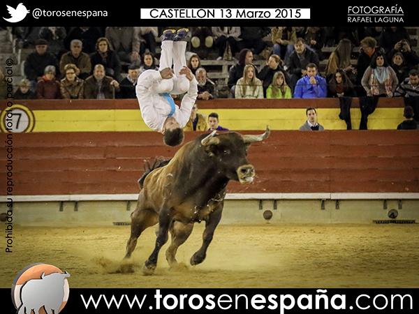 torosenespana's tweet photo. Galería completa del encuentro Hispano-Francés en Castellón http://t.co/Ugg4OlCpez vía @torosenespana http://t.co/SX634iorn1
