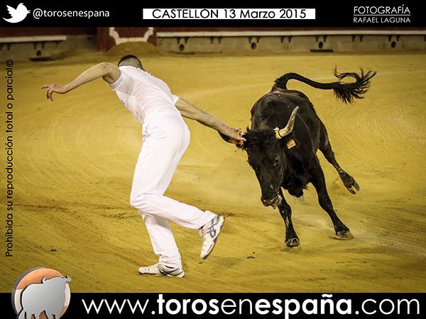 torosenespana's tweet photo. Galería completa del encuentro Hispano-Francés en Castellón http://t.co/Ugg4OlCpez vía @torosenespana http://t.co/SX634iorn1