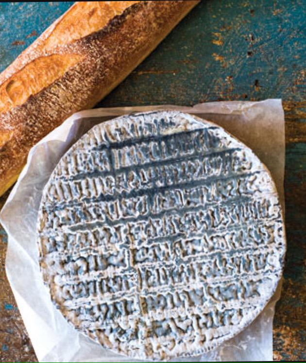 Ancaster Cheese tweet media