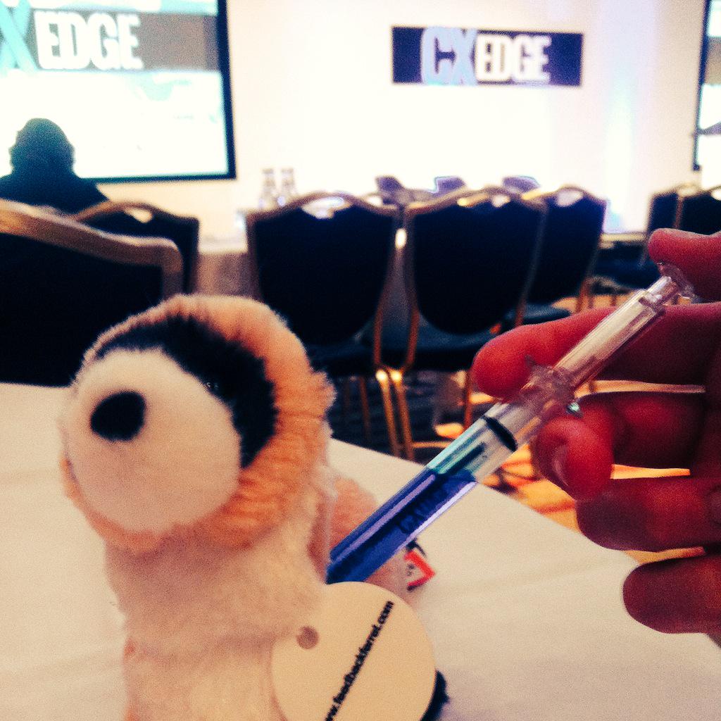 bexmaybury's tweet photo. Getting some Customer Experience coursing through my veins @cx_edge Living life on the #CXEdge http://t.co/kXsRp5zn3T