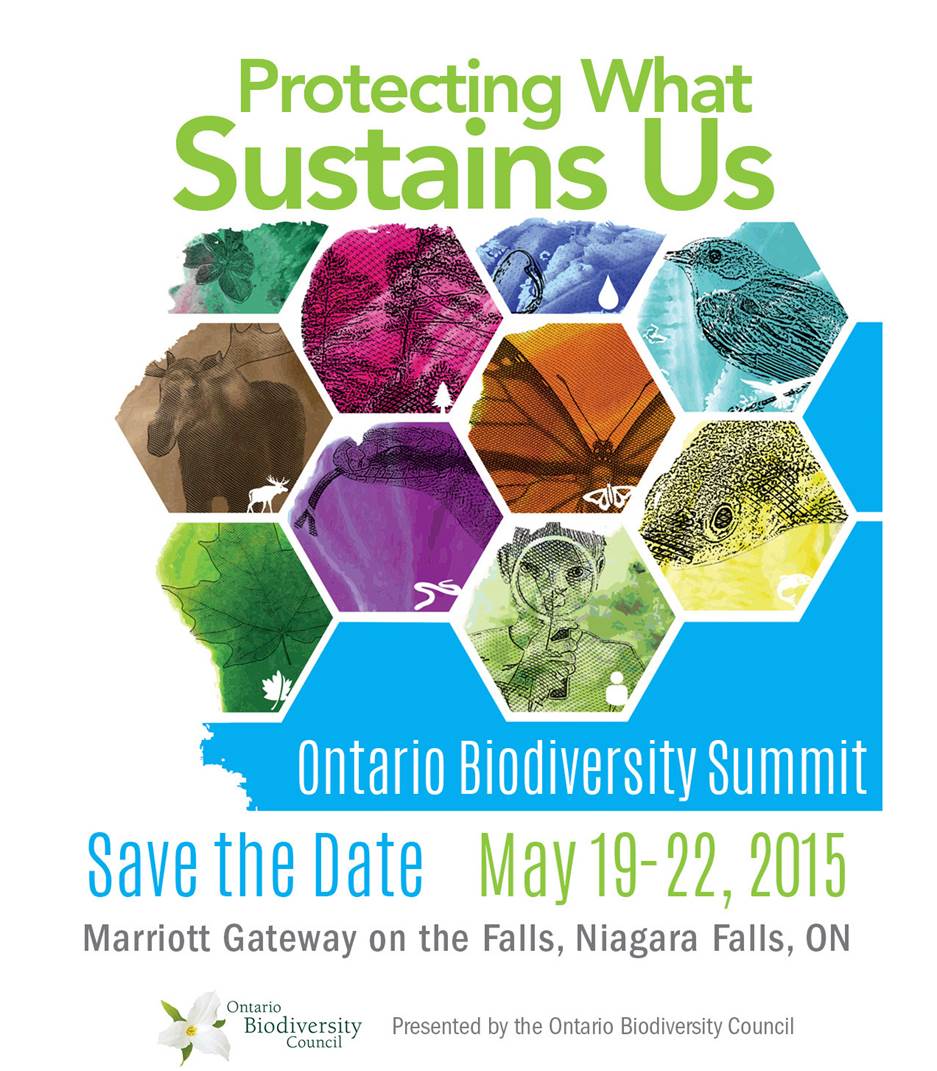Early Bird registration for @OnBioSummit closes today, as do poster abstracts and applications for <a href="/YL4Biodiversity/">YoungLeadersBiodiv</a>!