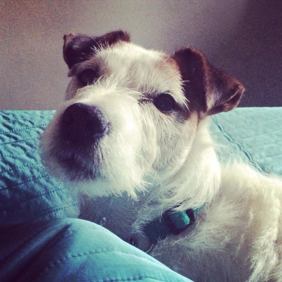 Help Find Jeff tweet media