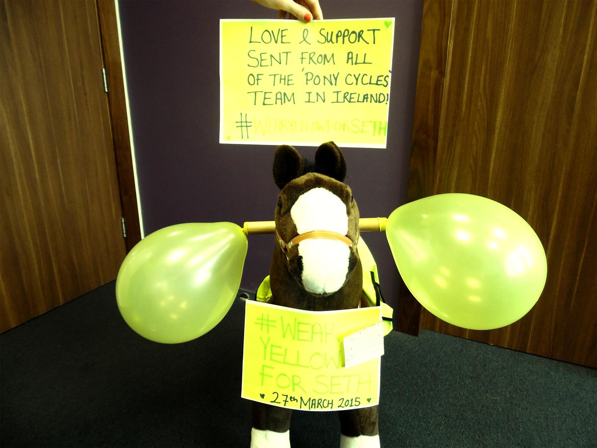 #wearyellowforseth even Peri is wearing his #yellow vest! Love and Support from <a href="/PonyCycles1/">Pony Cycles</a>