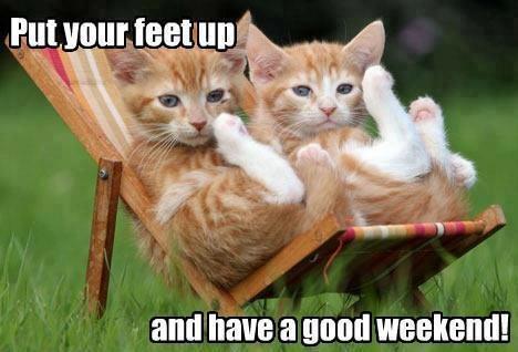 Justask_SA's tweet photo. Have a great weekend! http://t.co/csTkJfEn65