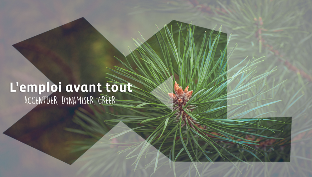 Les Landes en avant tweet media