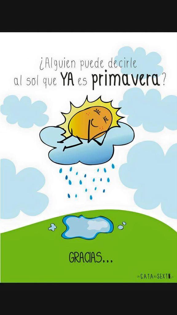 yo y mis rarezas (@yoymisrarezas) on Twitter photo 