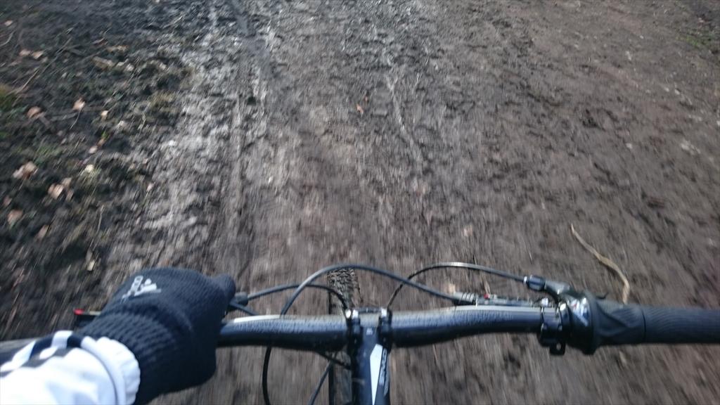 AliBrownleetri's tweet photo. Lovely sunny afternoon on the mountain bike. #owntheroad and #ownthetrail http://t.co/lwJccRCh2x