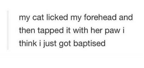 basicwhytechick's tweet image. REASONS WHY I LOVE TUMBLR 😭😂