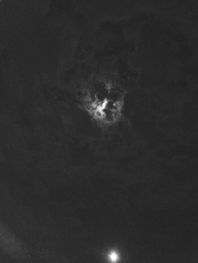 corip14 tweet picture