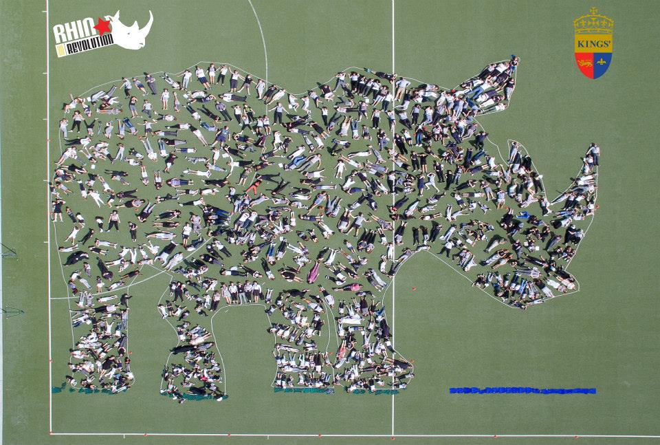 Well we did it Rhino Revolution and Kings al Barsha are in this together and I could not be more proud of both.