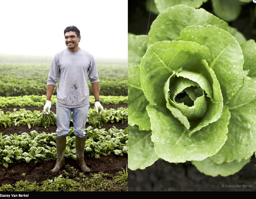 staceyvanberkel's tweet photo. Excited to be included in @foundfolios #growth feature! http://t.co/thEHW2R3Lt See more here:  http://t.co/PeHccmhGZg http://t.co/qorgzwRY2k