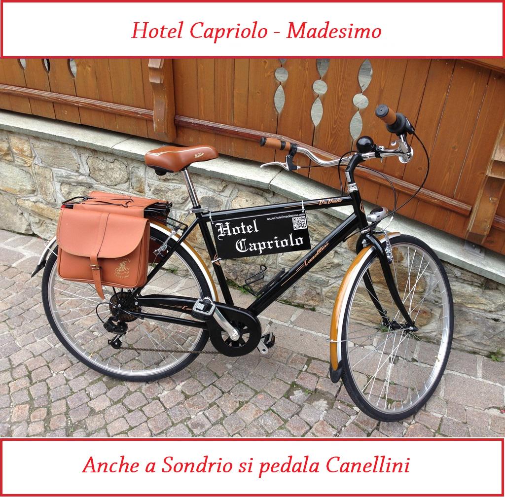 Canellini snc sur Twitter : \