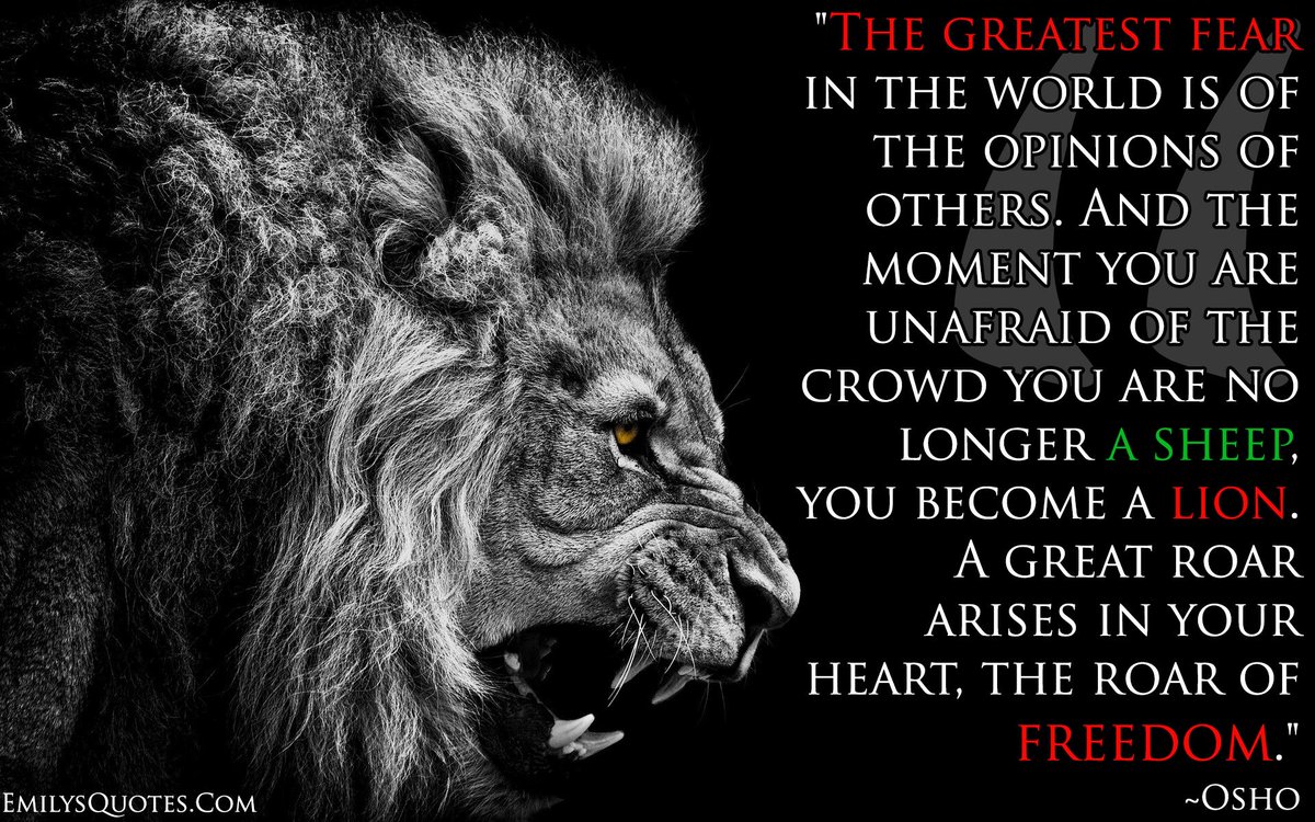 themoviescribe's tweet photo. There Is A Great Freedom That Comes With Living Your Life According To Your Own Truth #BeAnOriginalNotACopy http://t.co/dSmQ6B4shE
