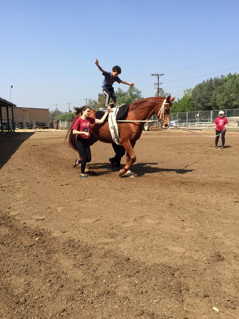 ValleyViewVault's tweet photo. Isaac doing awesome standing at the #trot. Getting #stronger everyday! #CerebralPalsy #HorseHour #vaulting #horselove http://t.co/gzBkW0Oack