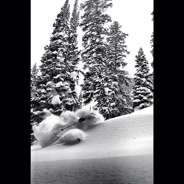 FindTransfers's tweet image. Spot the skier! #skiing