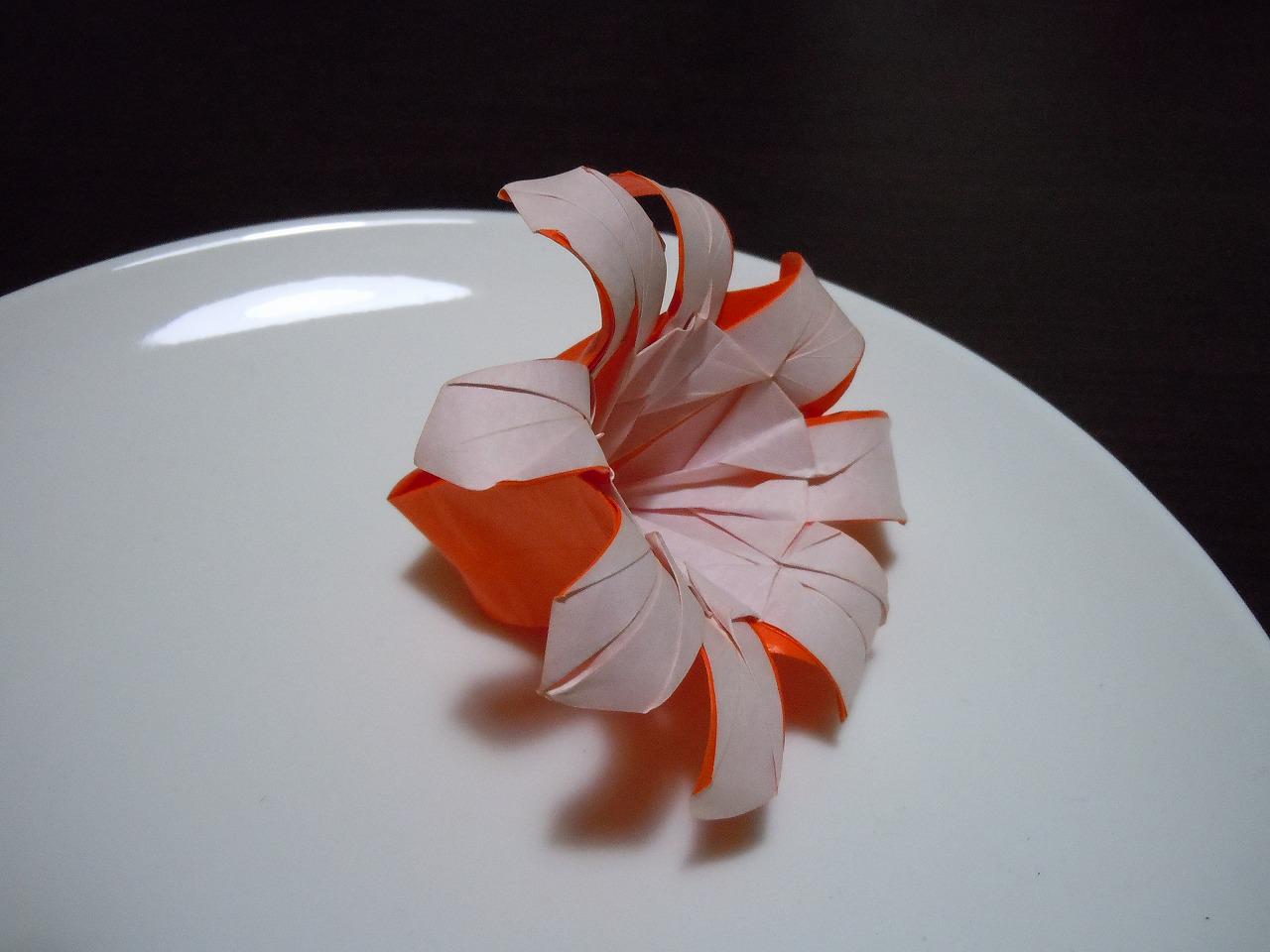 Jhon Doe タコウインナー Tako Sausage Designed And Folded By John Doe From 1 Sheet Of Uncut Paper Http T Co Hgaxik37ui Twitter