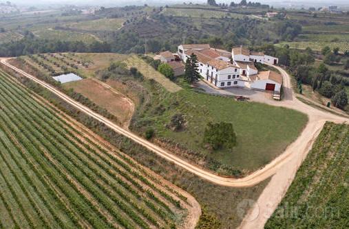 Menú Degustación entre viñedos en Bodega J.Miquel Jané,Guardiola de Font-Rubí #BCN #enoturismo goo.gl/Lf64XR