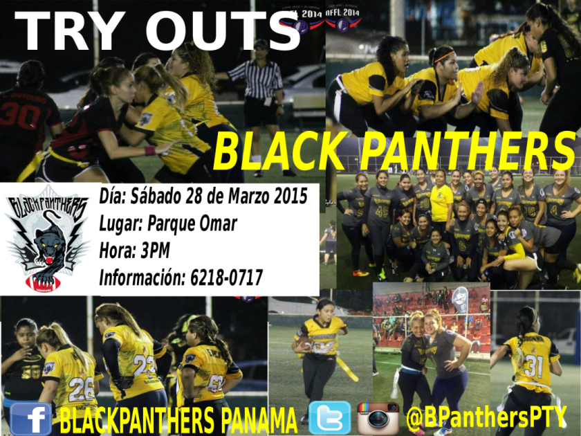 Black Panthers tweet media