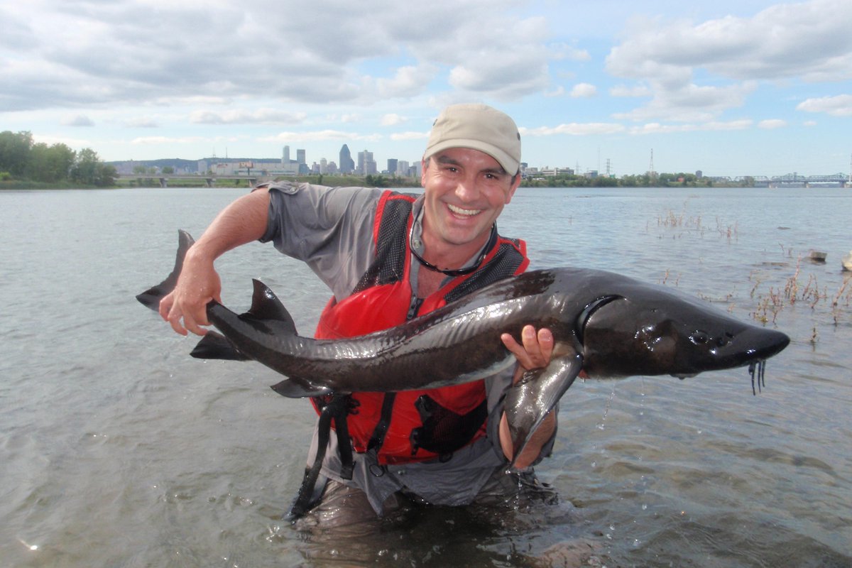 ChasseetPecheTV's tweet photo. Dimanche, Cyril vous emmène à Montréal pour une pêche urbaine !
#saumon #esturgeon #achigan #MDLP http://t.co/5U5MSTZmOl