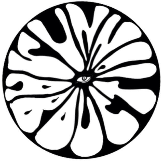 Sun Abduction tweet media