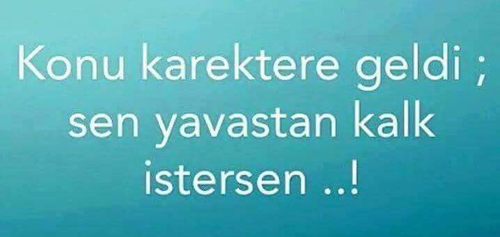 ibrahim emiroğlu (@ibrahimlaz53) on Twitter photo 