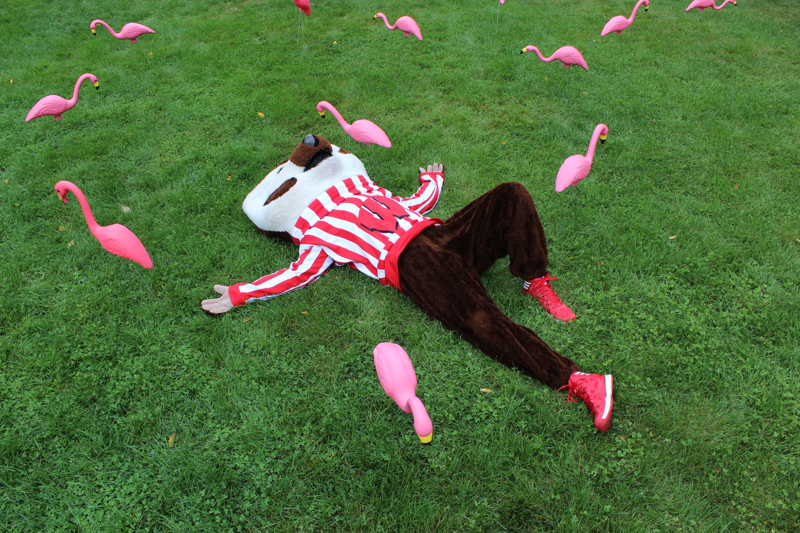 UWMadison's tweet photo. That feeling when you finally make it to #springbreak http://t.co/RAvtn9yi4n