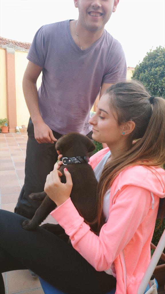 RebecaMoM's tweet photo. Quiero,quiero,quiero,quiero,quieroooooooo quiero 😞 http://t.co/YbKS24mfwV