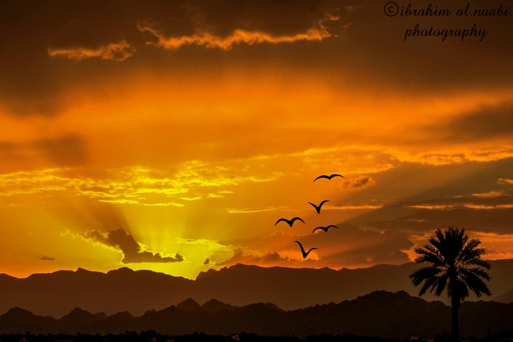 EbrahimNaabi's tweet photo. #صورة_من_عُمان
ولاية الحمراء الجميلة🌷 http://t.co/FsKty96YKD
