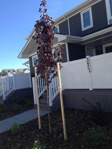 HawkstoneCondos's tweet image. Fantastic 2 bdrm townhouses w/ great standard finish &amp;amp; upgrade options! Start $275,000 Show suite Sat/Sun 2-4PM  #yqr