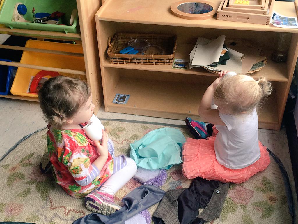 Molly Collier tweet media