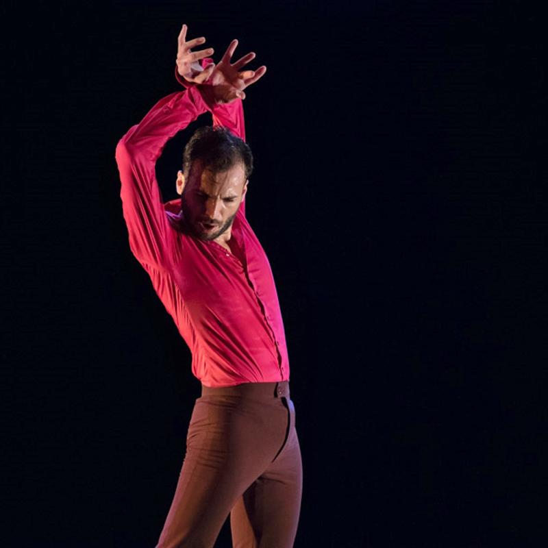 OlgaPericet's tweet photo. #FlamencoUntitled En abril, #NewYork, 23 y 24 con PACO VILLALTA al baile,
25 y 26 con MARCO FLORES al baile http://t.co/9EPsvMq4QZ