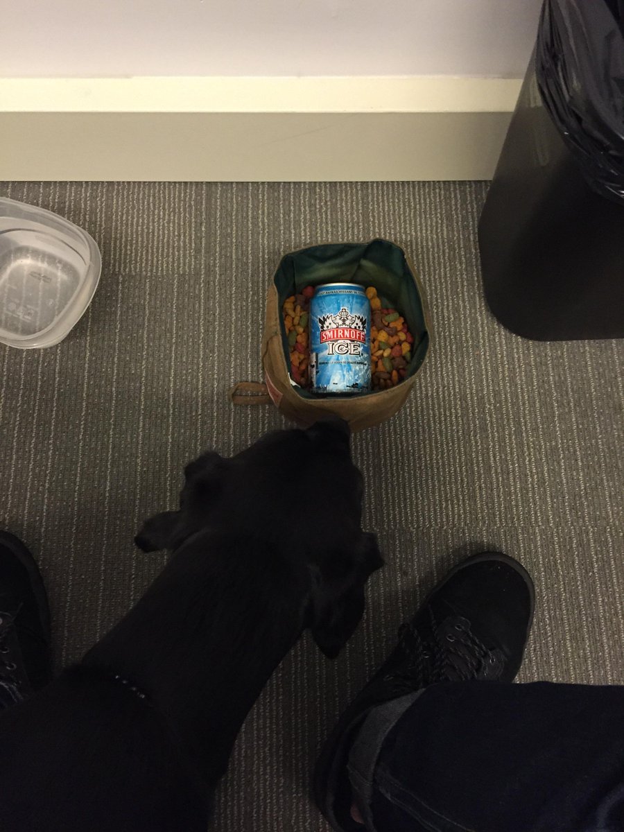 theleelou's tweet photo. This is cruel and unusual but I suppose it’s my birthday. http://t.co/hG1Y8F5zKw