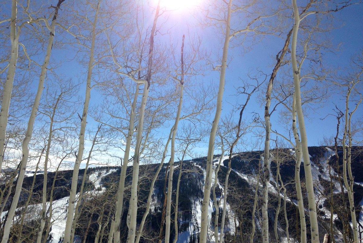 beavercreekmtn's tweet photo. Enjoy the sunshine today! Donโt miss Friday Afternoon Club at Toscanini with live music and F&B specials. #BCsun http://t.co/fLedgEgiZS