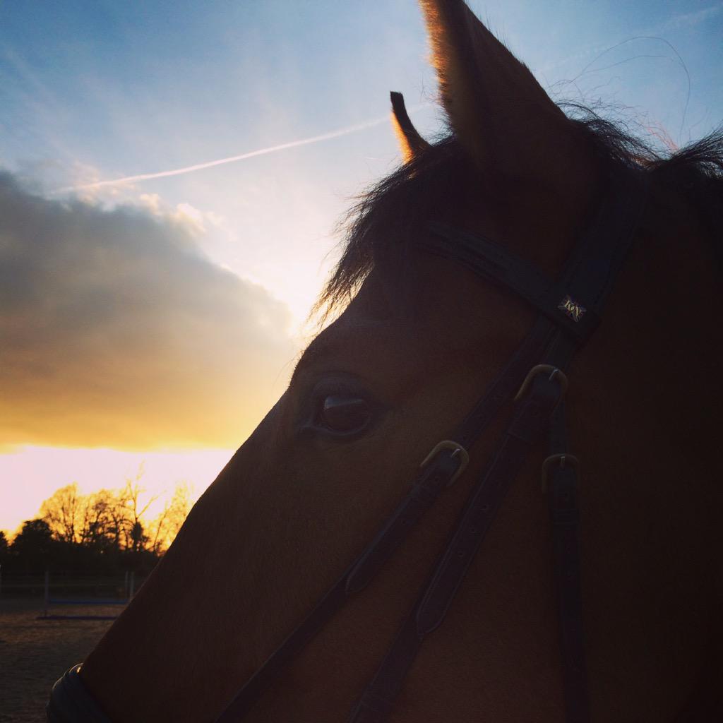 GGeePR's tweet image. My favourite silhouette!! Happy Friday everyone!