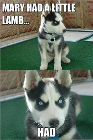 LoLjust_stuff's tweet photo. Lol http://t.co/F79tSz2NkX