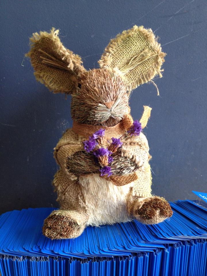 mccolson's tweet image. Kids have u found Oliver yet?  Find him &amp;amp; enter for Toys r Us gift card @ThriftyFoods Tsawwassen @tsawtcm